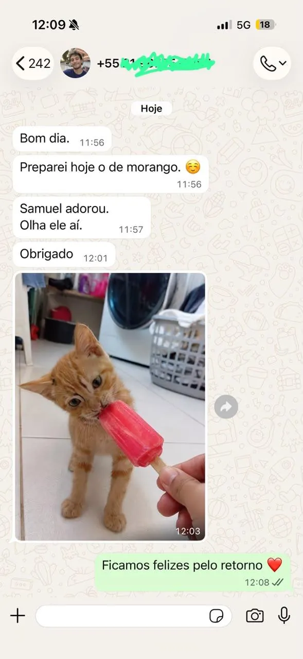 Depoimento de tutor no WhatsApp