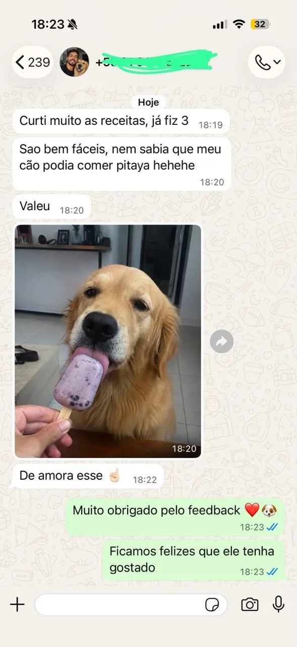 Depoimento de tutor no WhatsApp